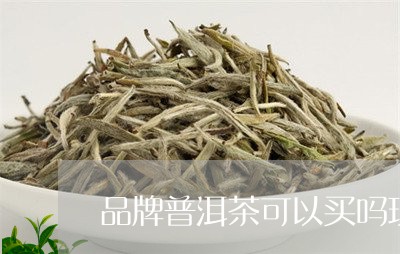 品牌普洱茶可以买吗现在/2023050616037