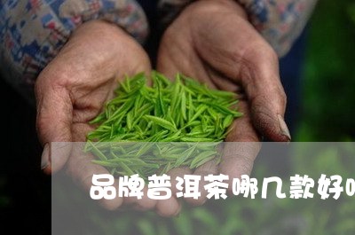 品牌普洱茶哪几款好喝/2023062938260