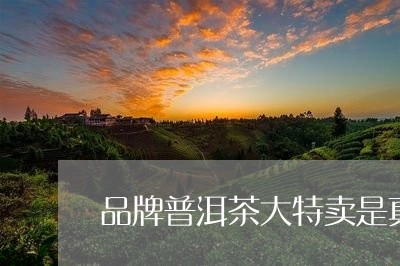 品牌普洱茶大特卖是真的吗/2023121596148