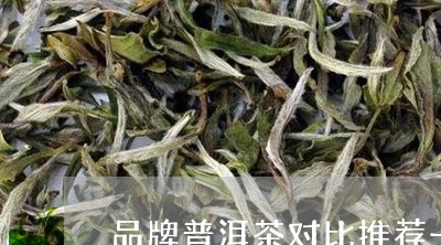 品牌普洱茶对比推荐一下/2023082770502