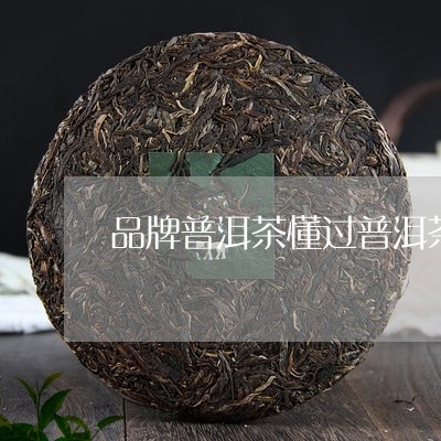 品牌普洱茶懂过普洱茶单株价格/2023053070592