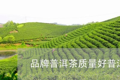 品牌普洱茶质量好普洱茶生产商/2023053014058