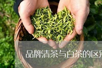 品牌清茶与白茶的区别/2023092855182