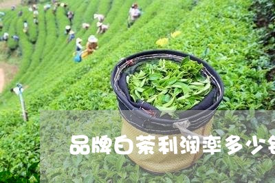 品牌白茶利润率多少钱/2023092851826