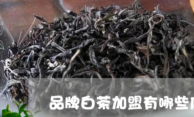 品牌白茶加盟有哪些店铺/2023101695361