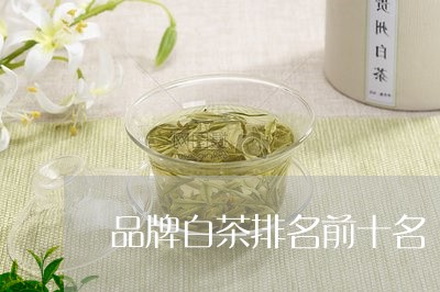品牌白茶排名前十名/2023121883634