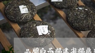 品牌白茶福建省福鼎市/2023092806058