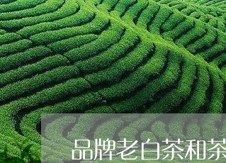 品牌老白茶和茶农茶/2023071690481