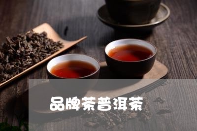 品牌茶普洱茶/2023042857