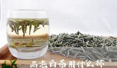 品老白茶用什么杯/2023061676949