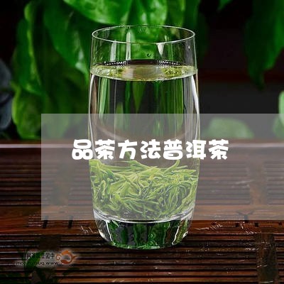 品茶方法普洱茶/2023110538360