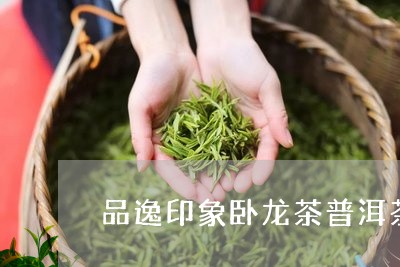 品逸印象卧龙茶普洱茶/2023100762837