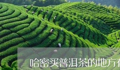 哈密买普洱茶的地方有哪些/2023112497360