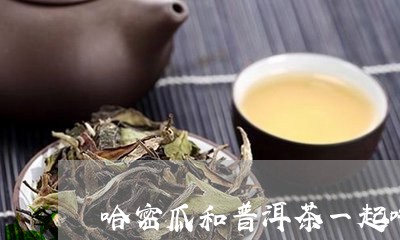 哈密瓜和普洱茶一起吃/2023092545258