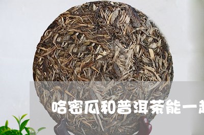 哈密瓜和普洱茶能一起吃吗/2023110293916