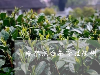 哈尔滨白茶管理条例/2023121816247