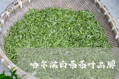 哈尔滨白茶茶叶品牌/2023121850572