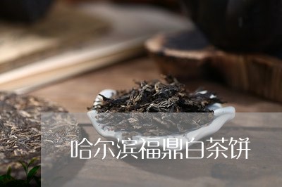 哈尔滨福鼎白茶饼/2023061617269