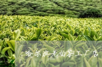 哈尔滨老白茶工厂店/2023121837159