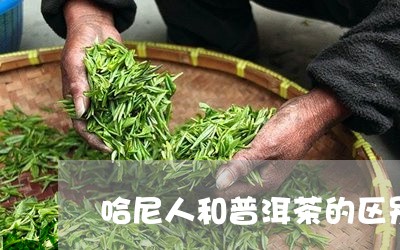 哈尼人和普洱茶的区别/2023073099391