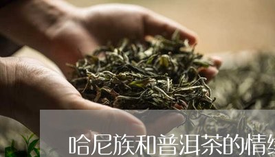 哈尼族和普洱茶的情缘/2023072109380