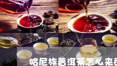 哈尼族普洱茶怎么来的/2023092773728