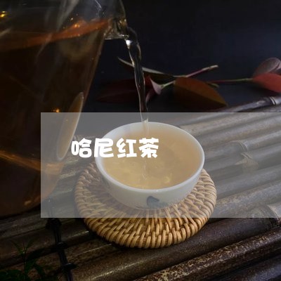 哈尼红茶/2023090114736