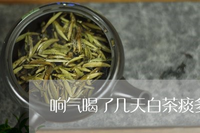 响气喝了几天白茶痰多/2023092805061