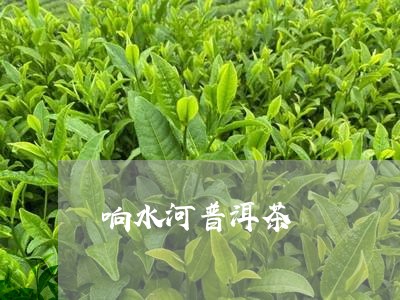 响水河普洱茶/2023042683570