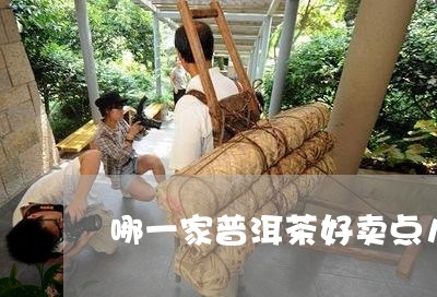 哪一家普洱茶好卖点儿呢/2023102511826