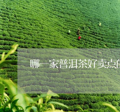 哪一家普洱茶好卖点的/2023082949382