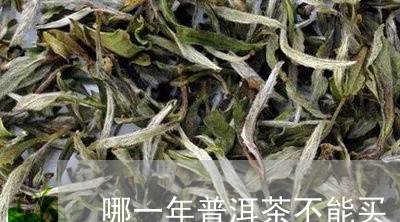 哪一年普洱茶不能买/2023120488469