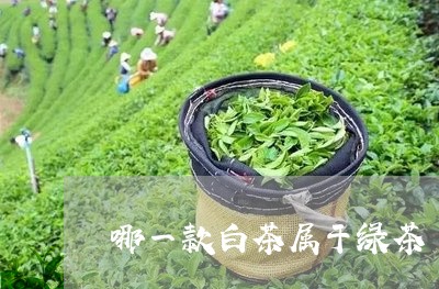 哪一款白茶属于绿茶/2023121852836