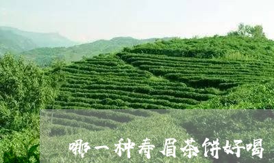 哪一种寿眉茶饼好喝/2023120493038