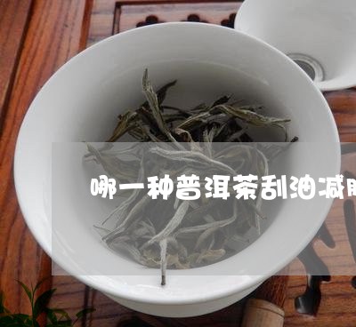 哪一种普洱茶刮油减肥/2023061593695