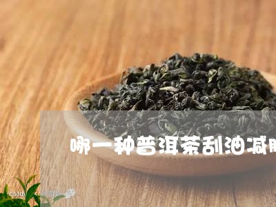 哪一种普洱茶刮油减肥/2023112954927