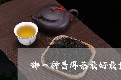 哪一种普洱茶最好最贵/2023092716384