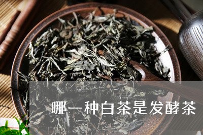 哪一种白茶是发酵茶/2023081406158