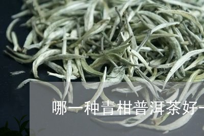 哪一种青柑普洱茶好一点/2023102416272