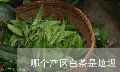 哪个产区白茶是垃圾/2023121872703