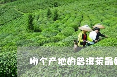 哪个产地的普洱茶最好/2023080326140