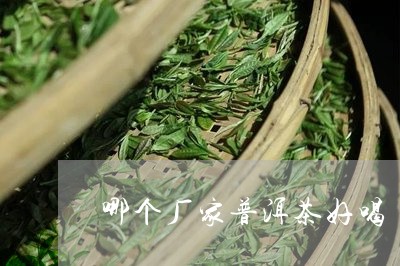 哪个厂家普洱茶好喝/2023111085171