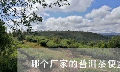 哪个厂家的普洱茶便宜/2023120636250