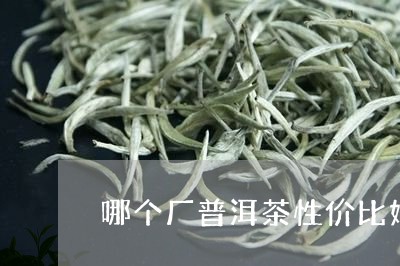 哪个厂普洱茶性价比好点/2023110310684