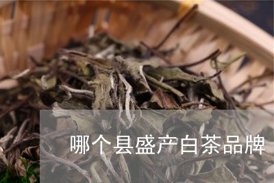 哪个县盛产白茶品牌/2023121869393