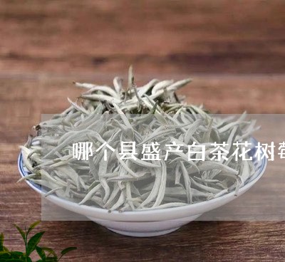 哪个县盛产白茶花树莓茶/2023101659472