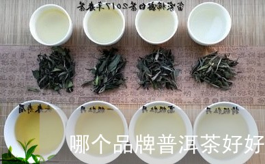 哪个品牌普洱茶好好喝的普洱茶熟茶/2023060362704