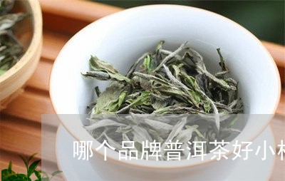 哪个品牌普洱茶好小柑橘普洱茶/2023053061715