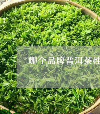 哪个品牌普洱茶性价比高/2023050661595