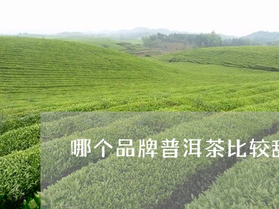 哪个品牌普洱茶比较甜/2023100795949